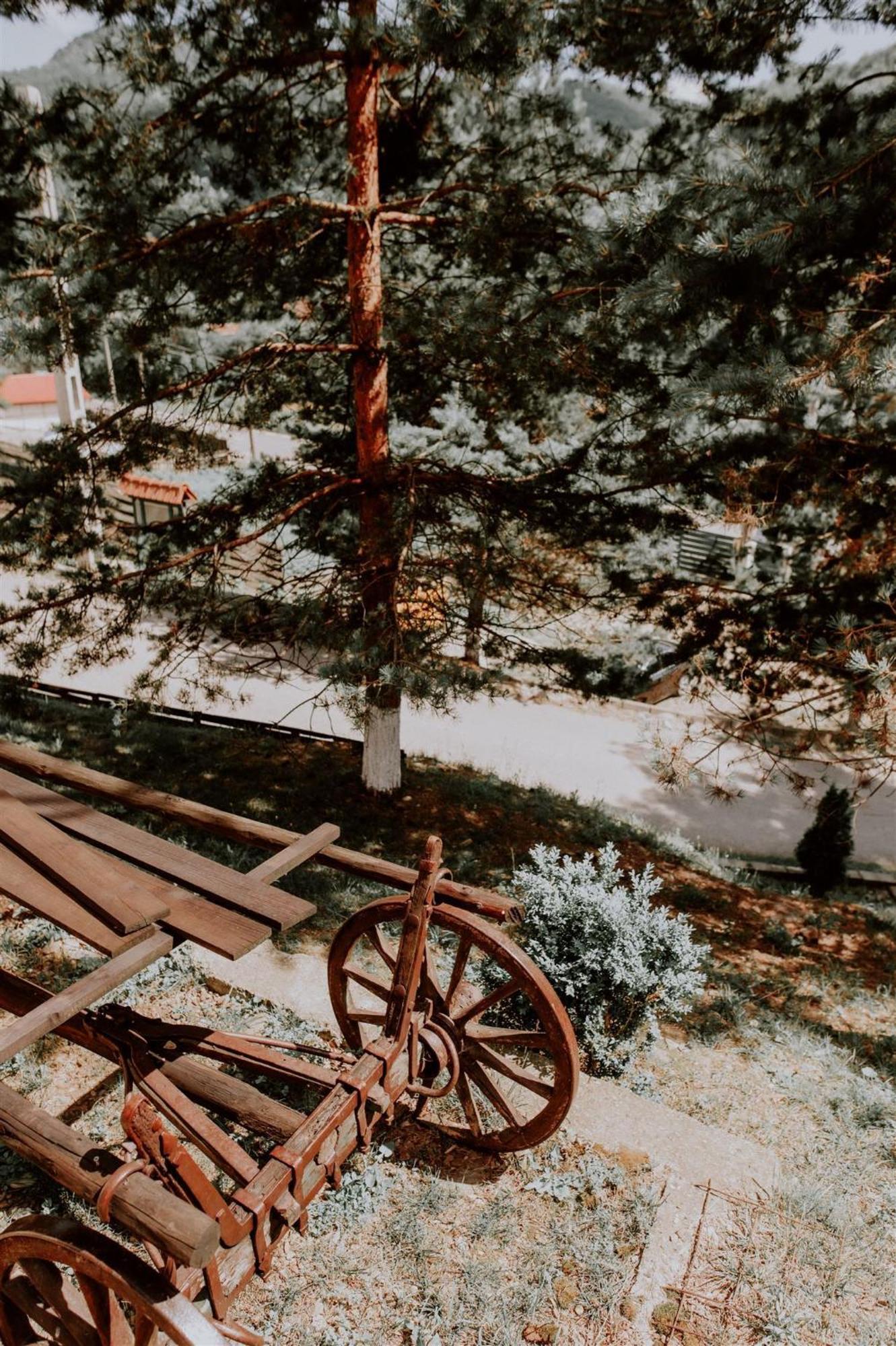 Pensiunea Poiana Verde Slănic-Moldova エクステリア 写真