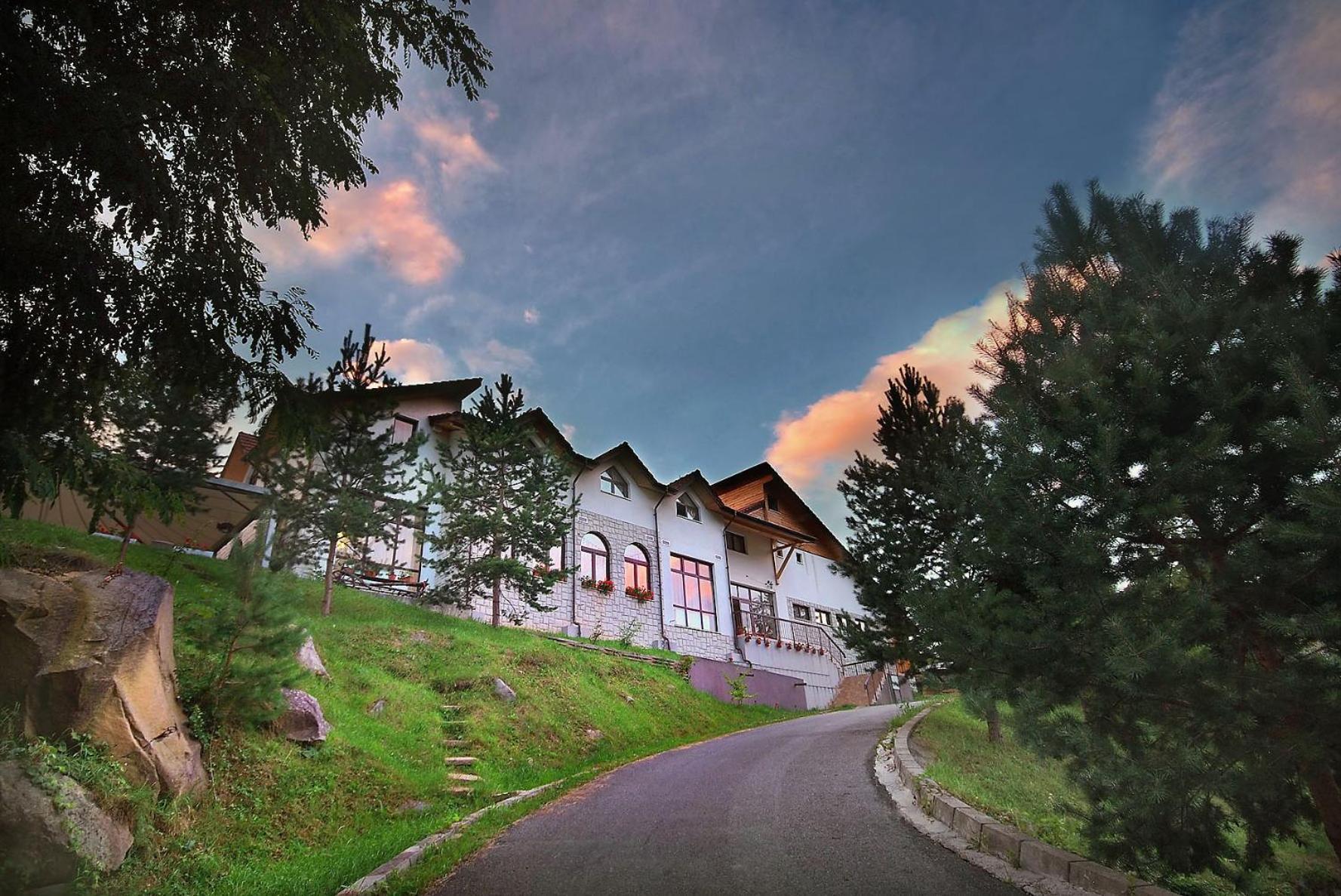 Pensiunea Poiana Verde Slănic-Moldova エクステリア 写真