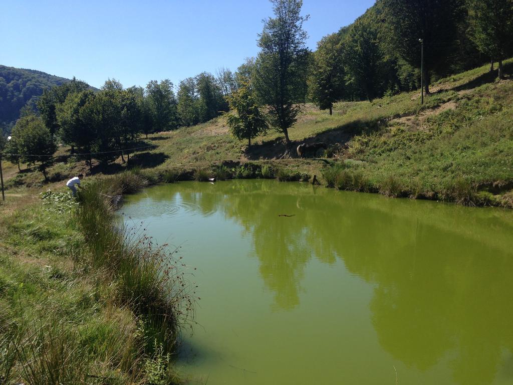 Pensiunea Poiana Verde Slănic-Moldova エクステリア 写真
