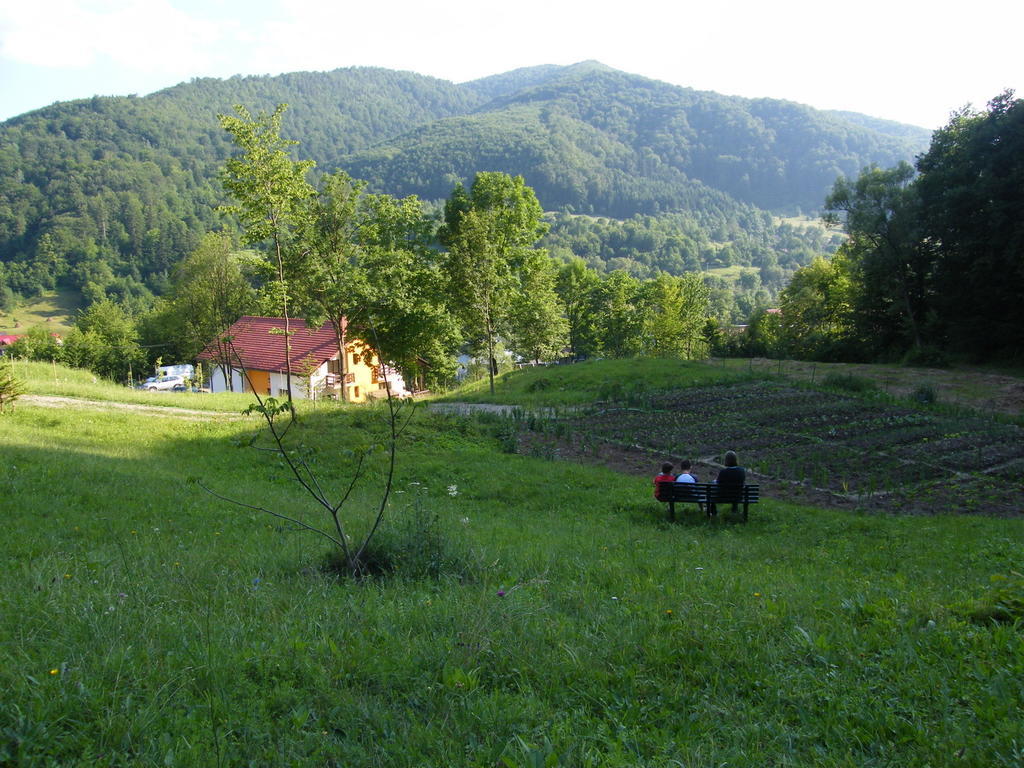 Pensiunea Poiana Verde Slănic-Moldova エクステリア 写真