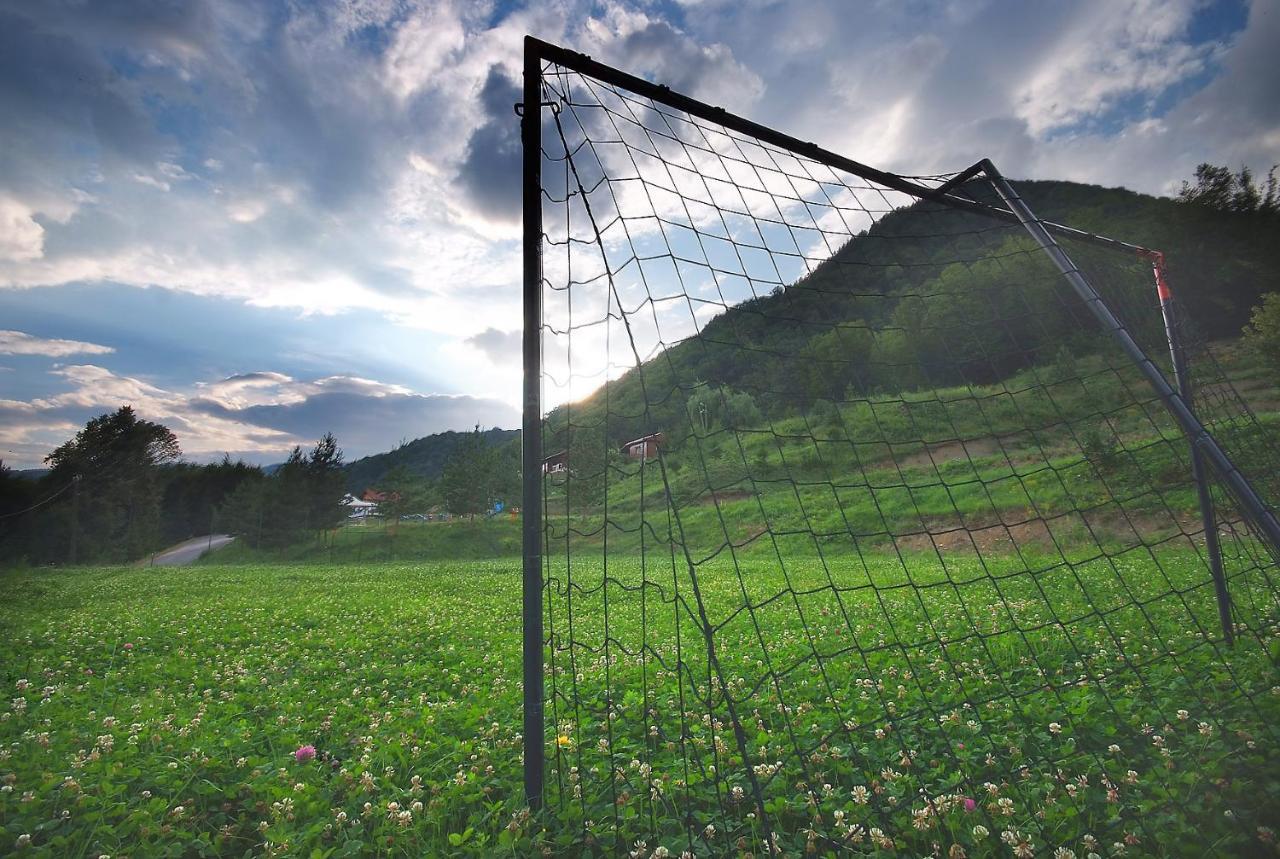 Pensiunea Poiana Verde Slănic-Moldova エクステリア 写真