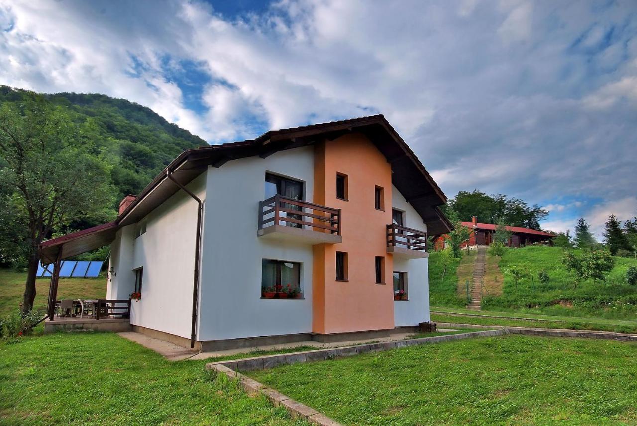 Pensiunea Poiana Verde Slănic-Moldova エクステリア 写真